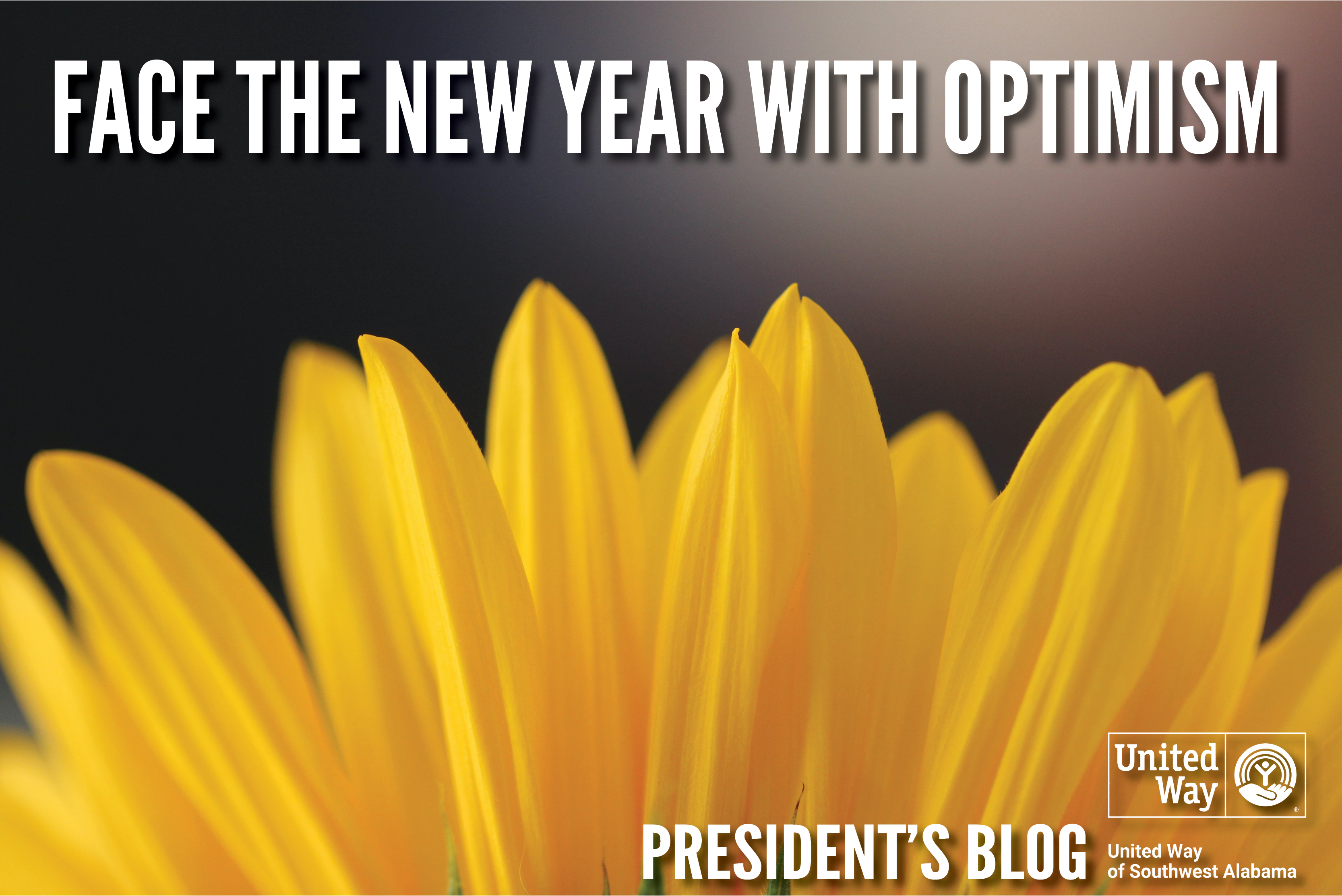 January President's Blog - Face the New Year with Optimism